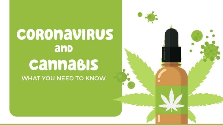 Coronavirus & Cannabis_feature