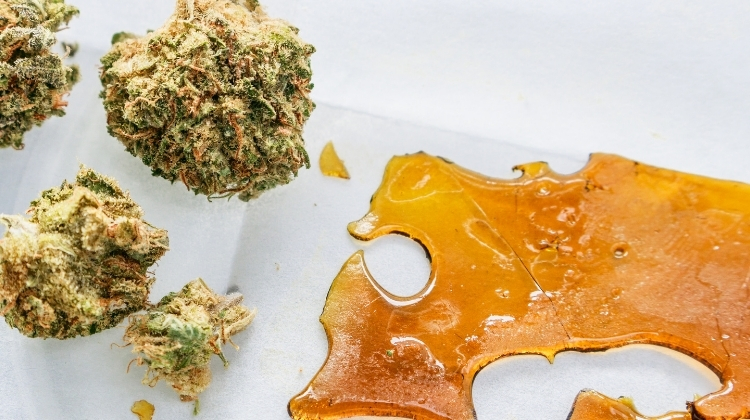CROWN CONCENTRATES ANONYMOUS CBD NUG RUN SHATTER - Cbd|Concentrates|Products|Concentrate|Hemp|Shatter|Wax|Isolate|Product|Thc|Terpenes|Oil|Effects|Cannabis|Cannabinoids|Spectrum|Plant|Form|Way|Pure|Extract|Powder|Crystals|Dab|Process|Extraction|Flower|People|Benefits|Vape|Body|Experience|Resin|Quality|Waxes|Health|Time|Potency|Amount|Forms|Cbd Concentrates|Cbd Concentrate|Cbd Wax|Cbd Shatter|Cbd Products|Cbd Isolate|Dab Rig|Cannabis Plant|Live Resin|Hemp Plant|Cbd Waxes|Free Shipping|Cbd Oil|Cbd Crystals|Tweedle Farms|Cbd Dabs|Full Spectrum Cbd|Dab Pen|Extraction Process|Daily Basis|Cbd Isolates|Entourage Effect|Scientific Hemp Oil®|Blue Moon Hemp|Cbd Oil Solutions|Pure Cbd Isolate|Pure Cbd|Small Amount|United States|Cbd Flower