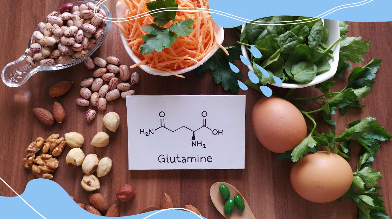 l glutamine for gut health