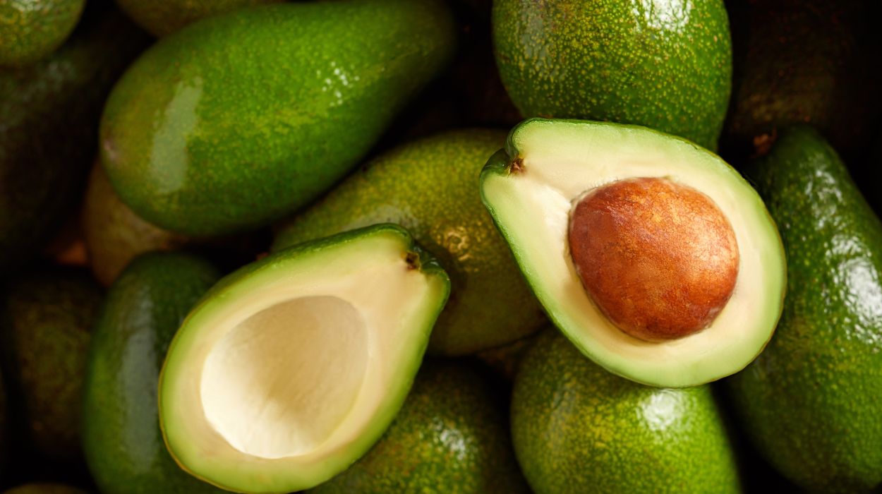 is avocado a superfood