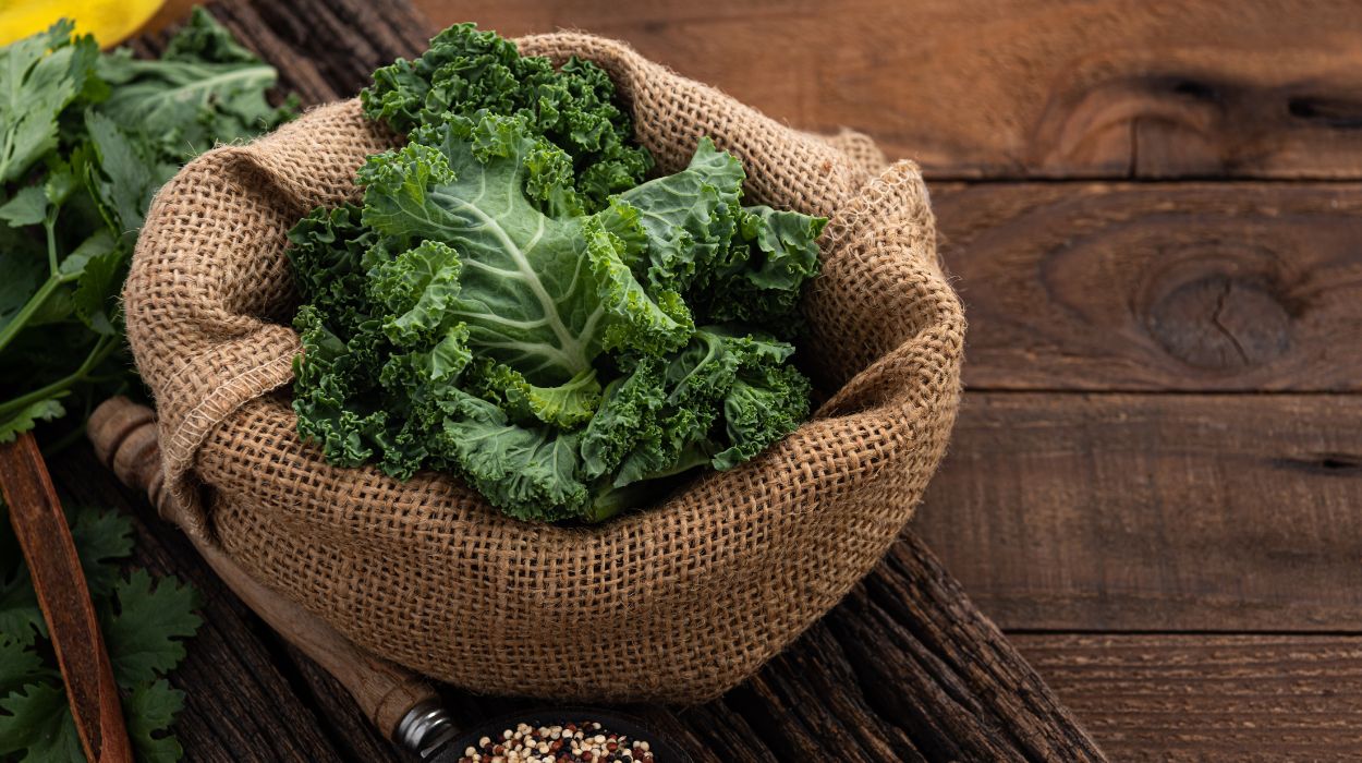 Health Benefits Of Kale