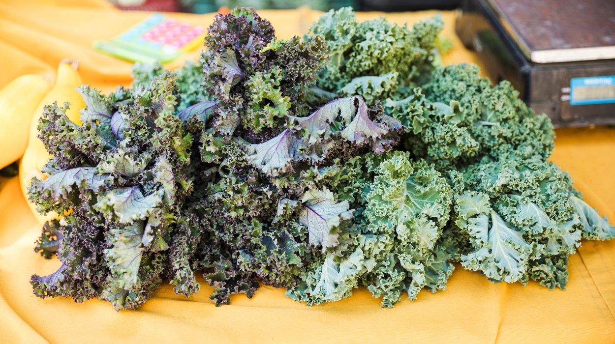 Nutrients In Kale