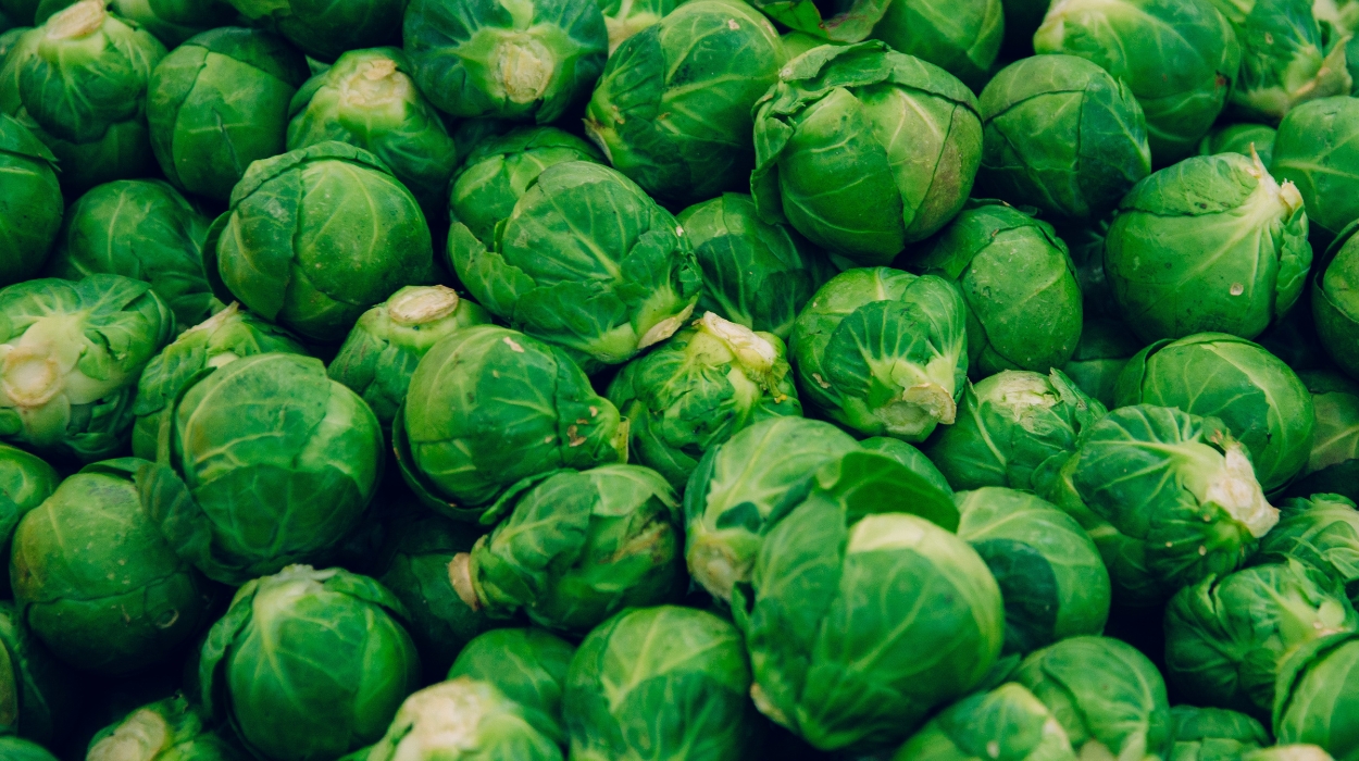 Benefits Of Brussels Sprouts