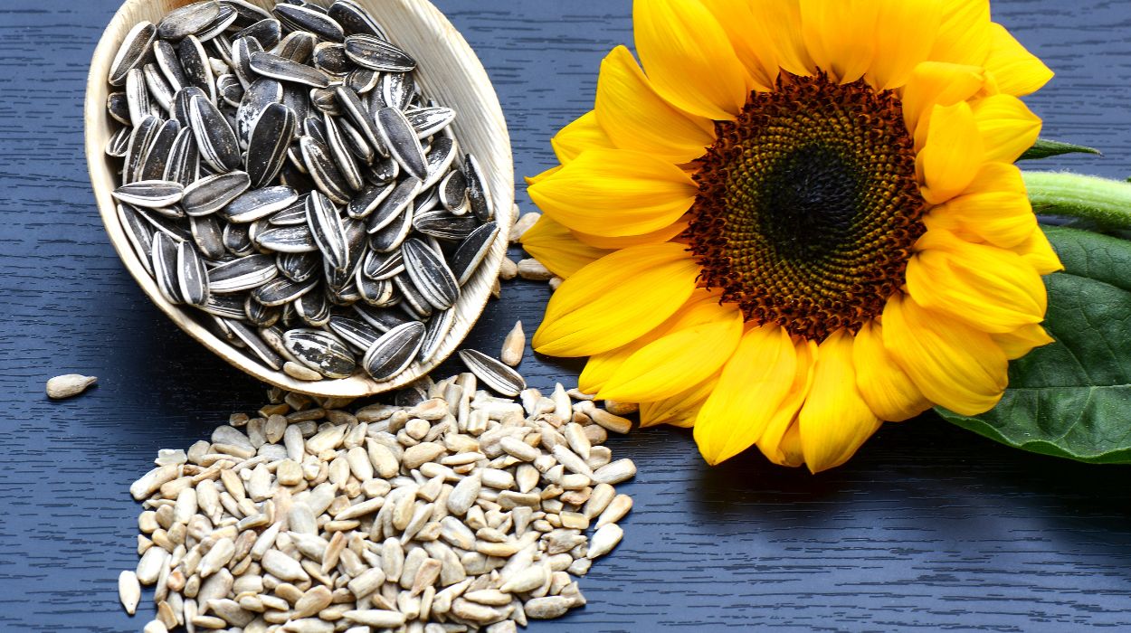 are sunflower seeds good for you