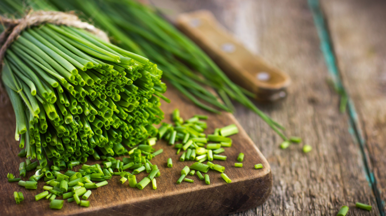 Health Benefits Of Chives