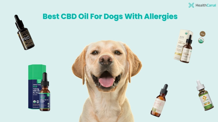 best cbd oil for dogs with allergies