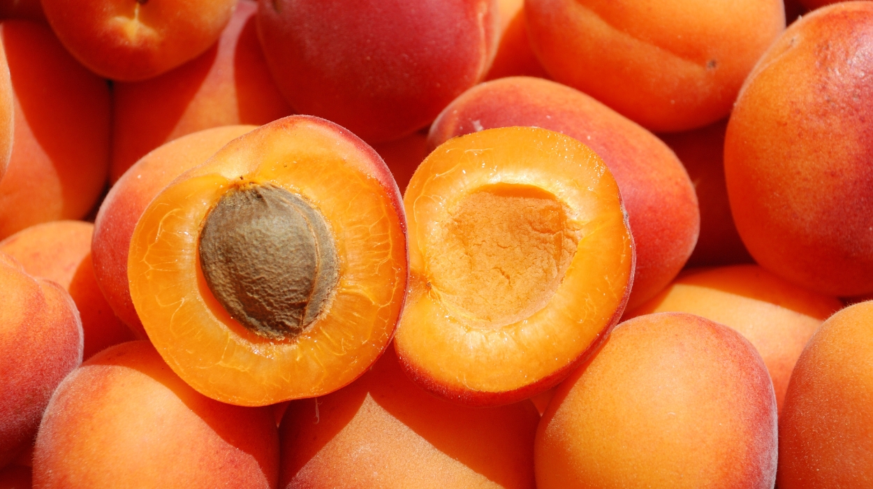 are apricots good for you