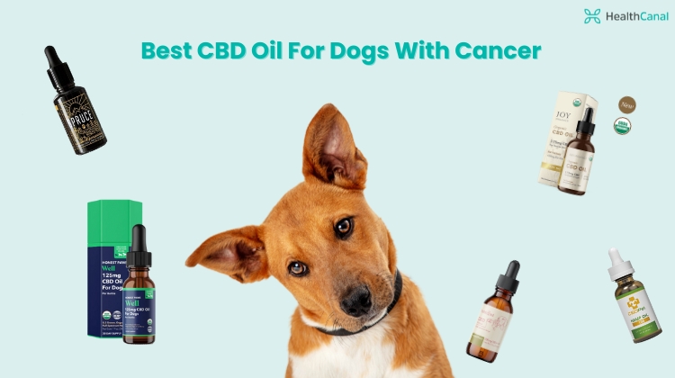 best cbd oil for dogs with cancer
