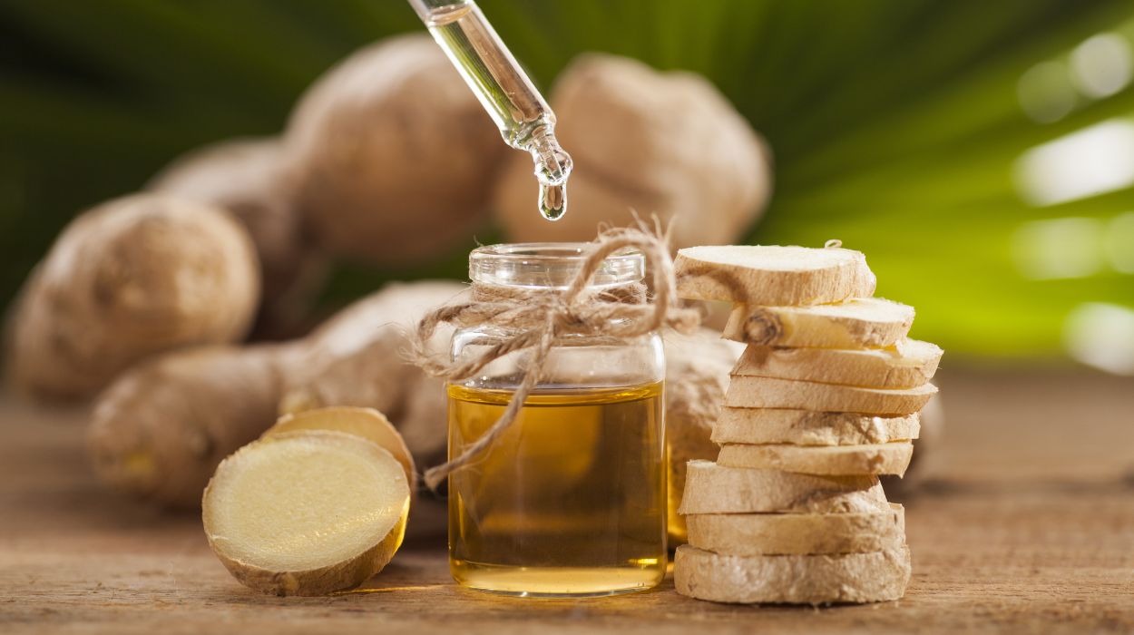 Ginger Oil For Weight Loss