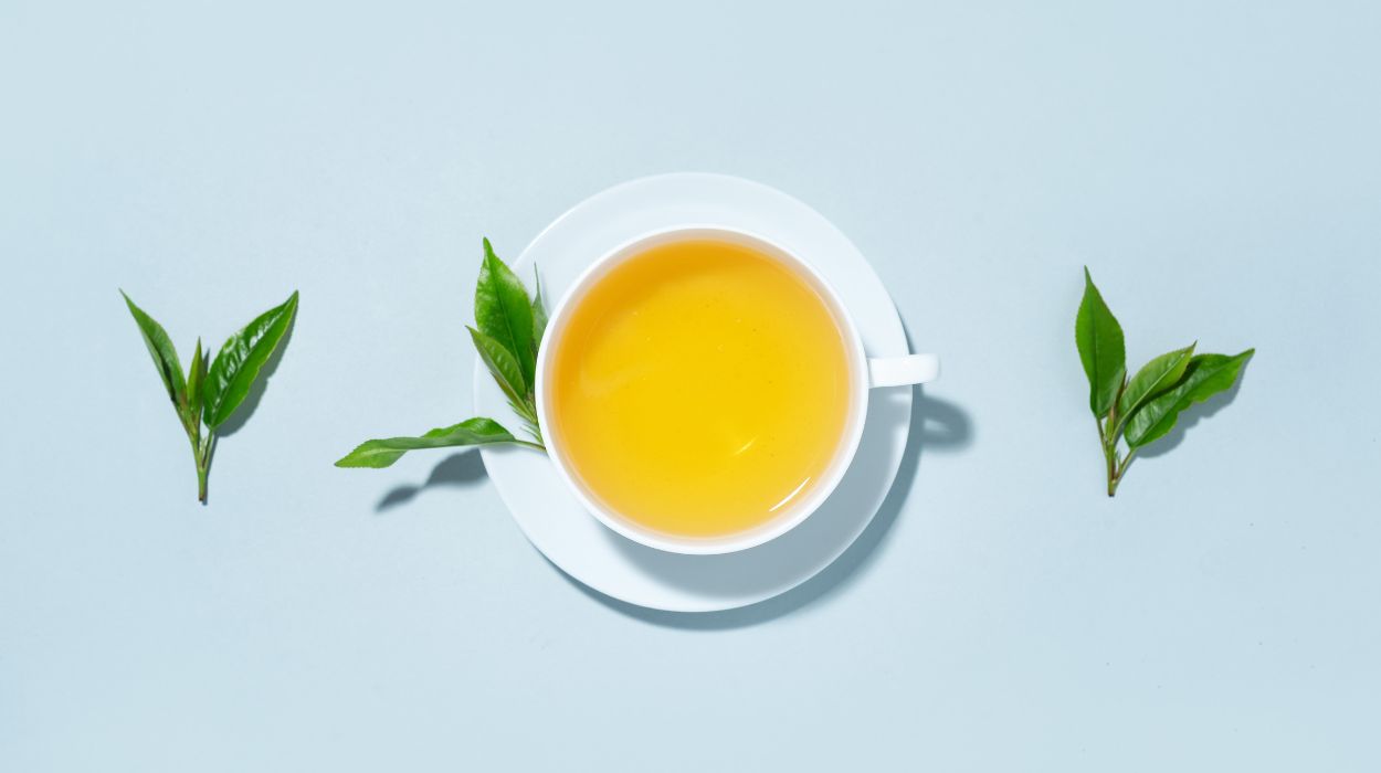Does Green Tea Have Caffeine? Here’s The 2024 Answer