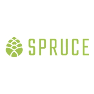 spruce cbd reviews