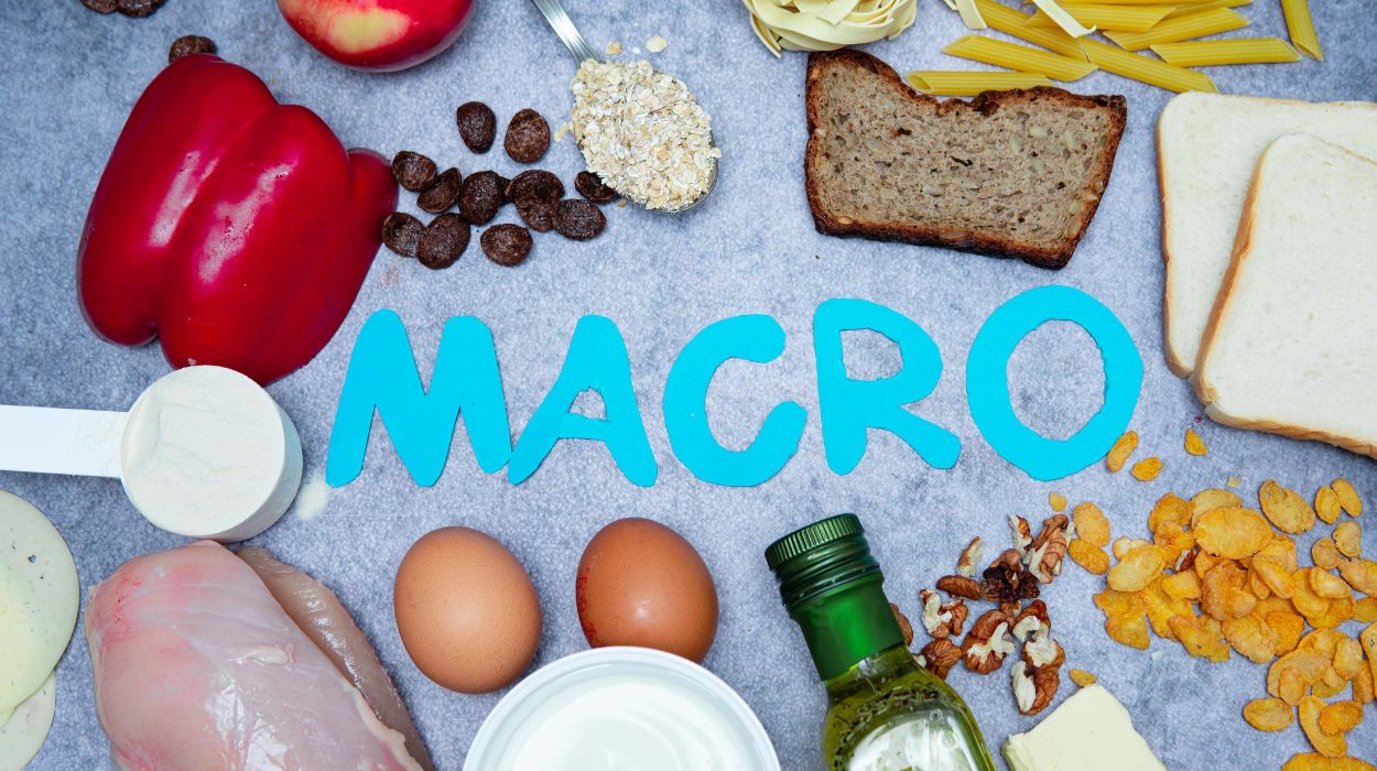 Macros For Weight Loss