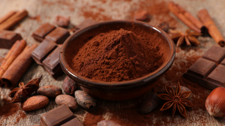 best tasting chocolate protein powder