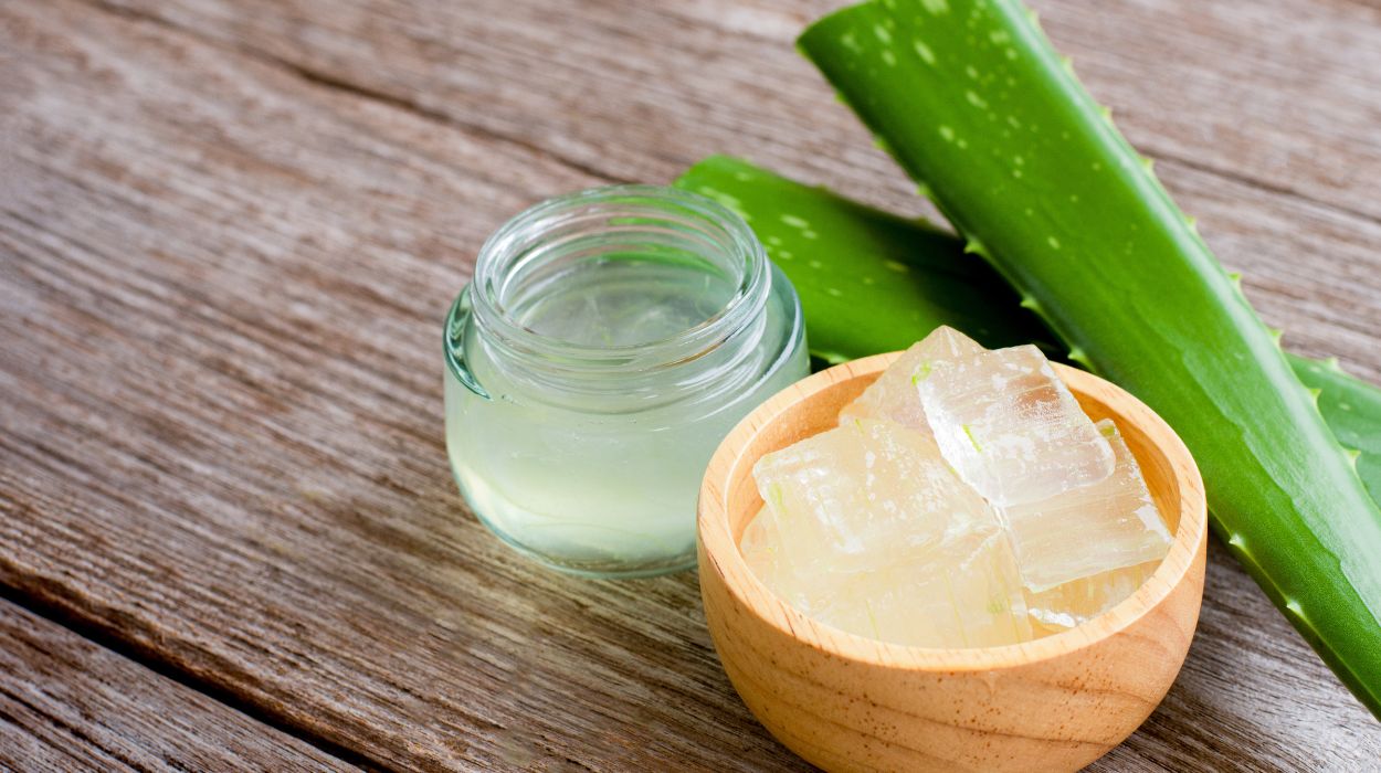 Aloe Vera For Digestion: How It Promotes Gut Health