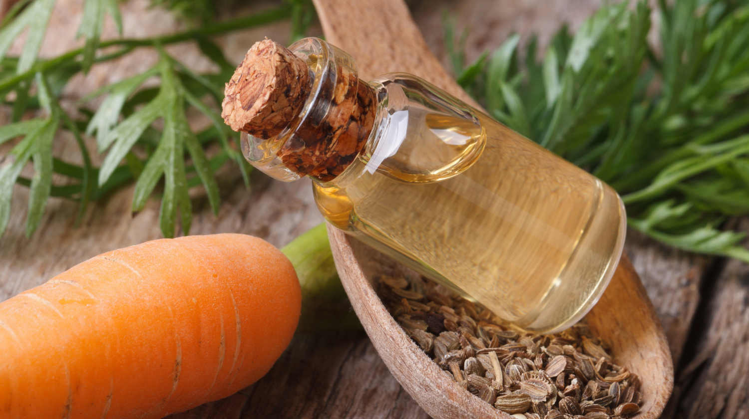 carrot oil for hair