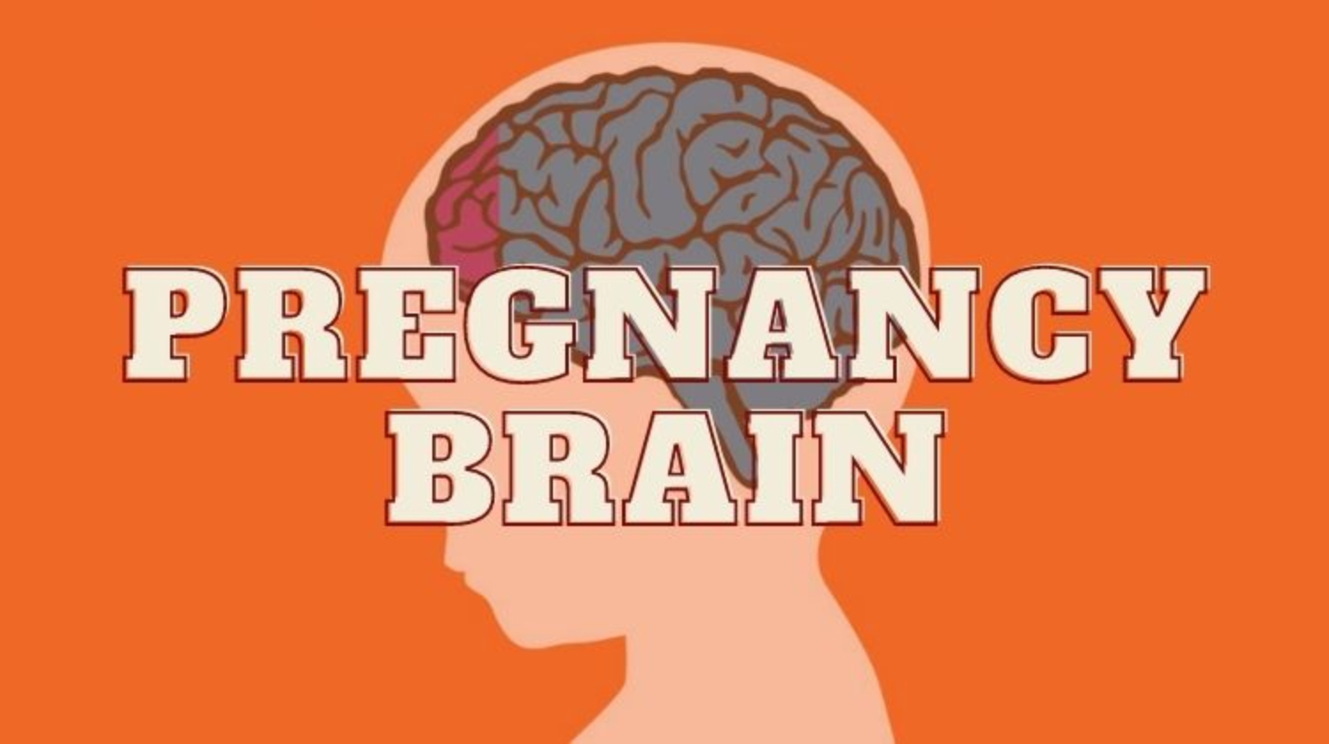 pregnancy brain
