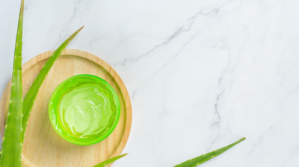 Best Aloe Vera Hair Masks That You Must Try