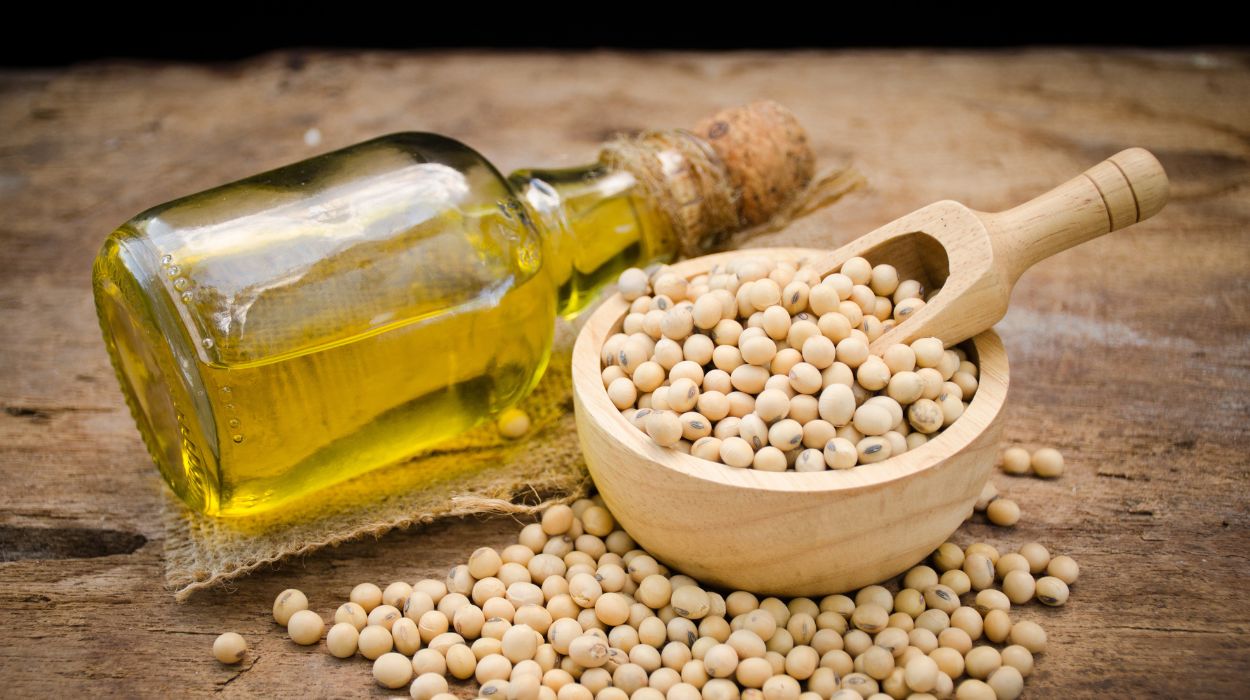 soybean oil for hair
