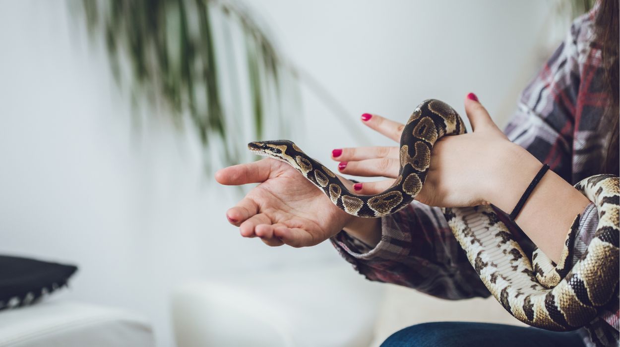 can a snake be an emotional support animal