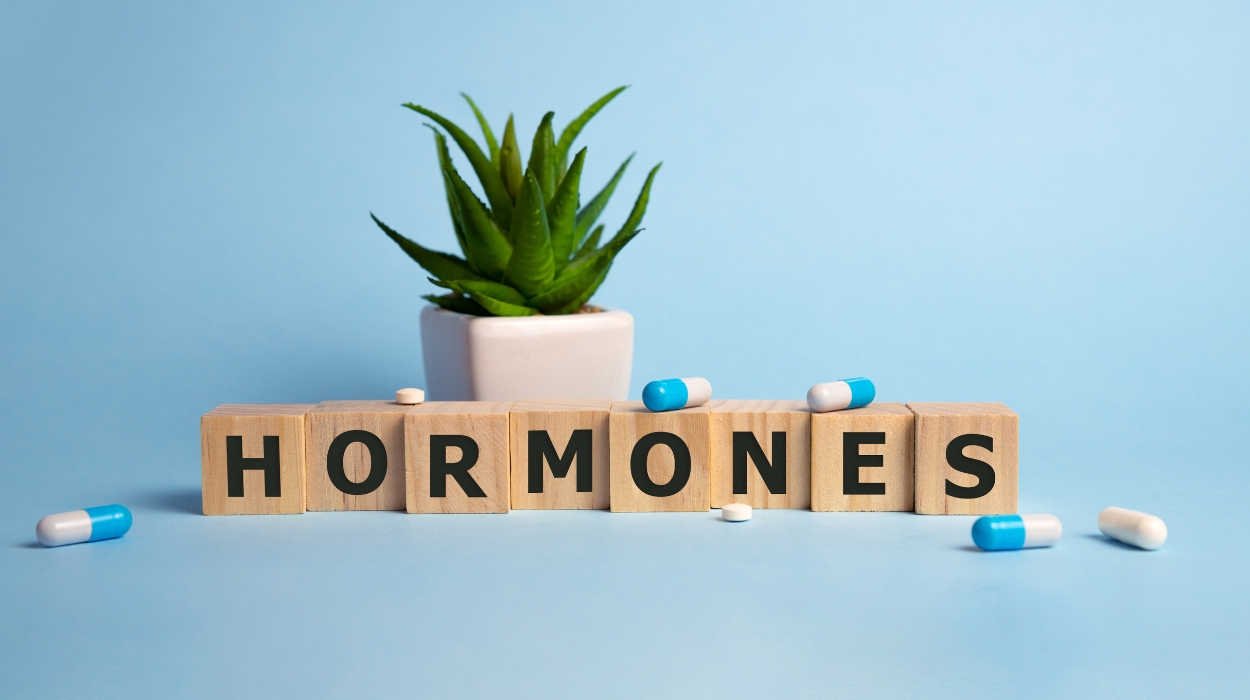 Hormones And Weight Loss
