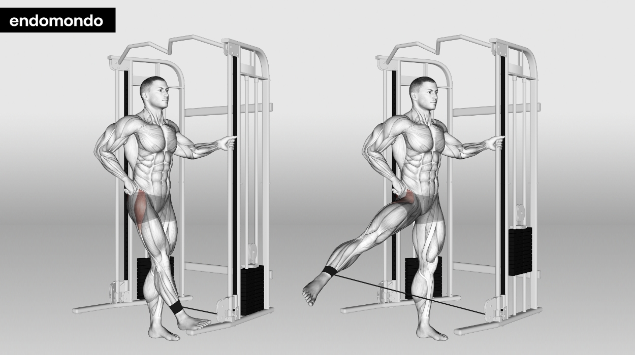 Cable Hip Abductions