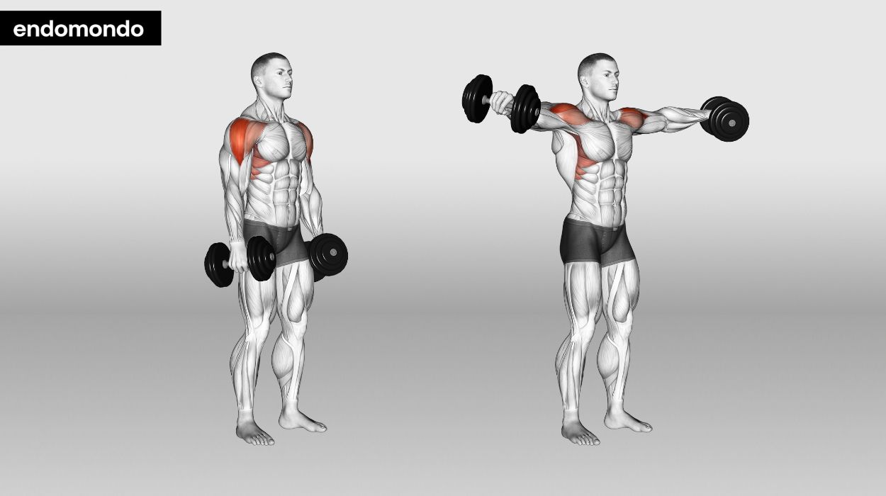 Lateral Arm Lifts
