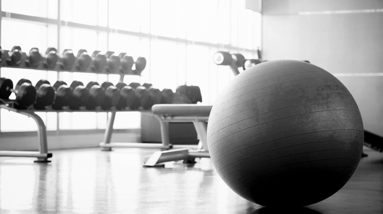 gym ball - gym ball exercises for flat stomach