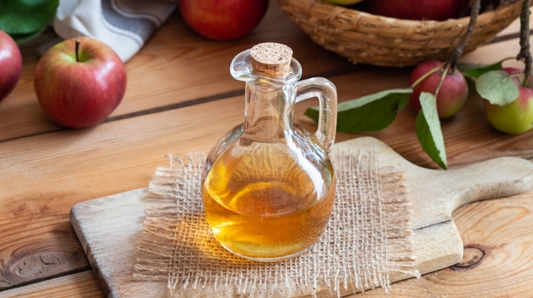 is apple cider vinegar good for your gut