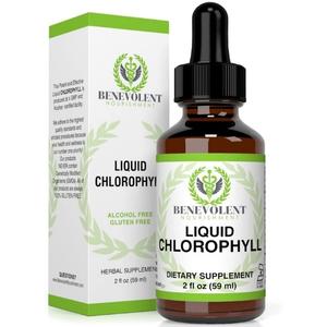 Benevolent Nourishment Liquid Chlorophyll