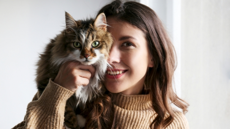 Emotional Support Cat 2023: How To Register An ESA Online