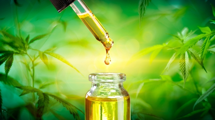 How To Choose The Best CBD Oil Products?