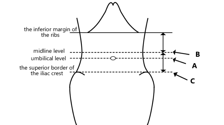 Measurement of waist circumference