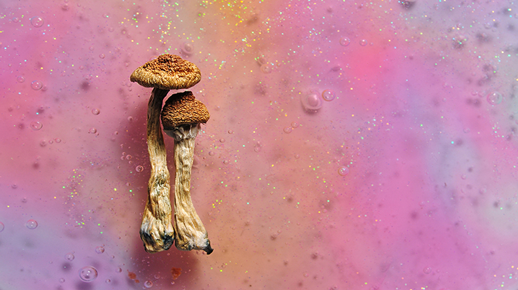Mental Health Disorders Accelerate Psychedelic Therapy Trend