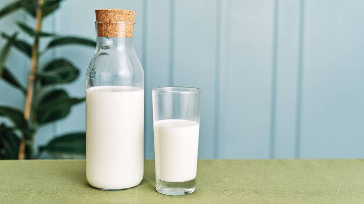best milk for weight loss