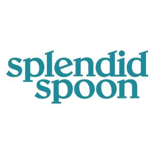 splendid spoon