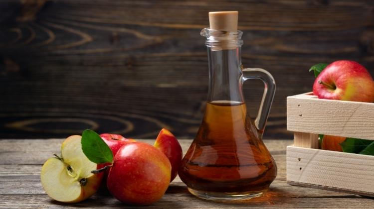 apple cider vinegar pregnancy