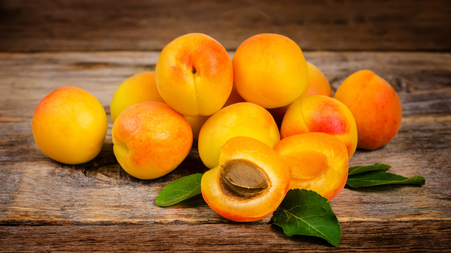 are apricots good for you