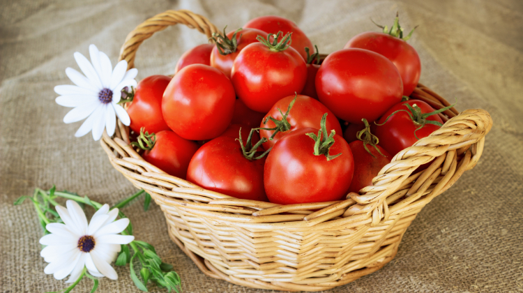 are tomatoes good for you