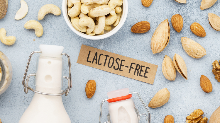 best lactose free protein powder