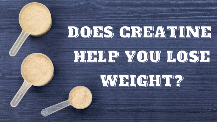 does creatine help you lose weight_