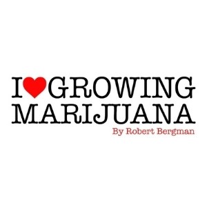 Marijuana plant seeds for sale