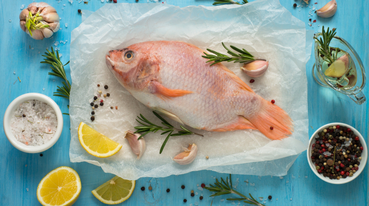 is tilapia good for you