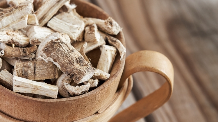 Marshmallow Root For Leaky Gut 2023: How It Work, Benefits & Risks